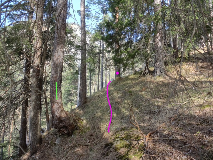 Speibenkäs 08728.JPG