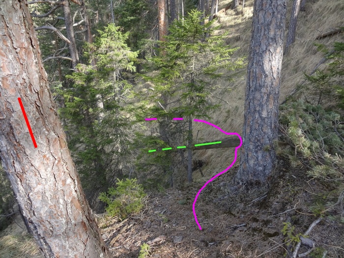 Speibenkäs 08733.JPG