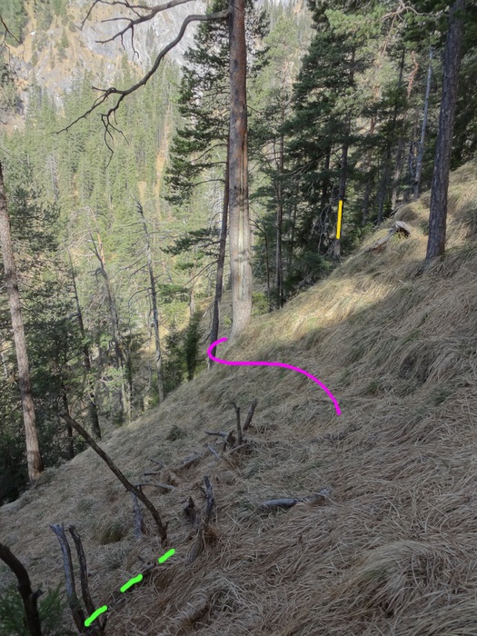 Speibenkäs 08736.JPG