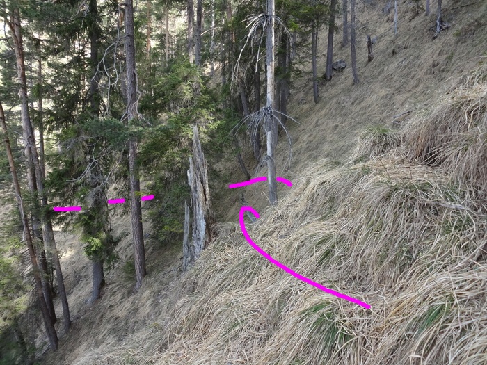 Speibenkäs 08739.JPG