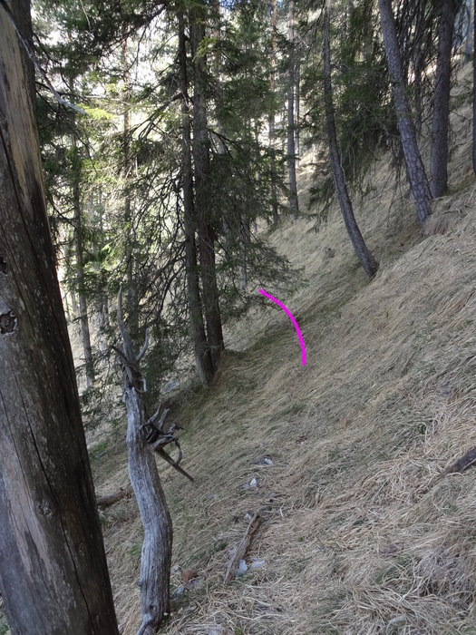Speibenkäs 08743.JPG