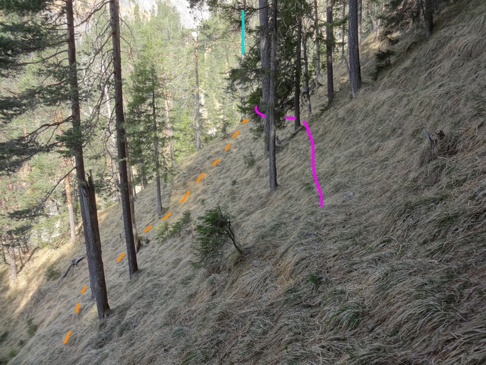 Speibenkäs 08744.JPG