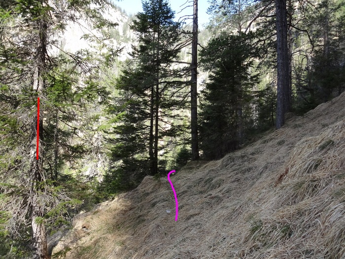 Speibenkäs 08758.JPG