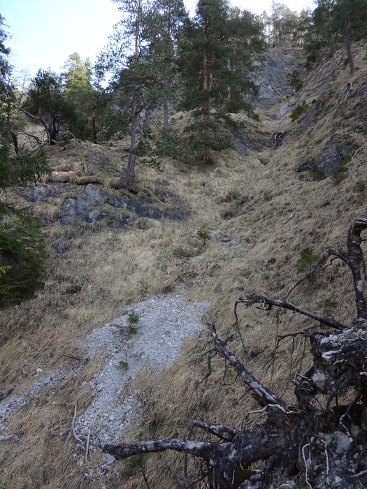 Speibenkäs 08765.JPG