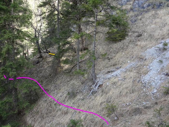 Speibenkäs 08767.JPG