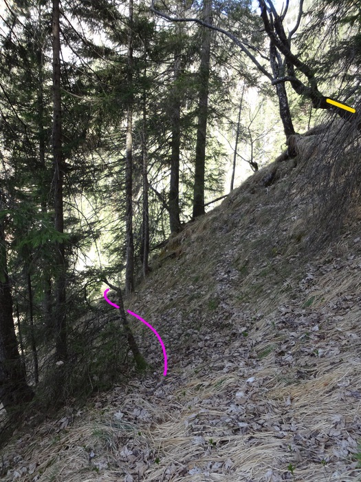 Speibenkäs 08768.JPG
