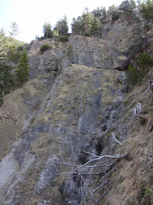 Speibenkäs 08783.JPG