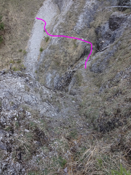 Speibenkäs 08787.JPG