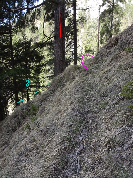 Speibenkäs 08797.JPG
