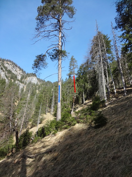 Speibenkäs 08840.JPG