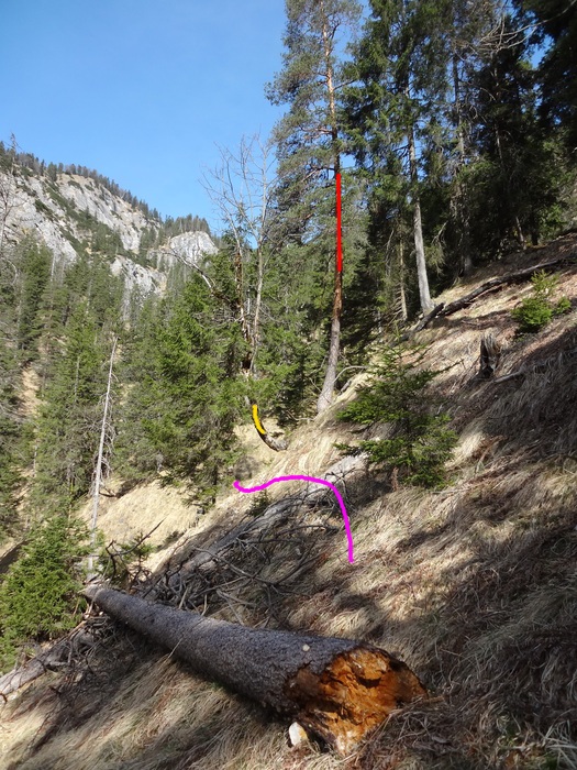 Speibenkäs 08844.JPG