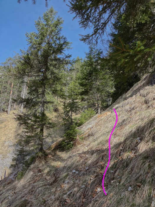 Speibenkäs 08851.JPG