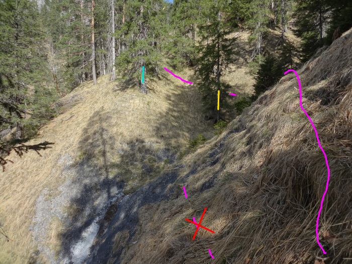 Speibenkäs 08854.JPG