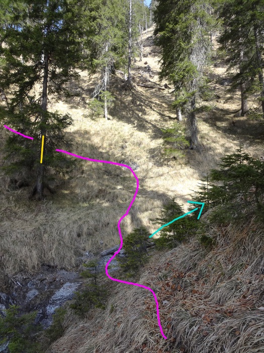 Speibenkäs 08866.JPG