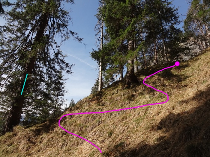 Speibenkäs 08887.JPG