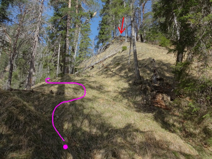 Speibenkäs 08892.JPG