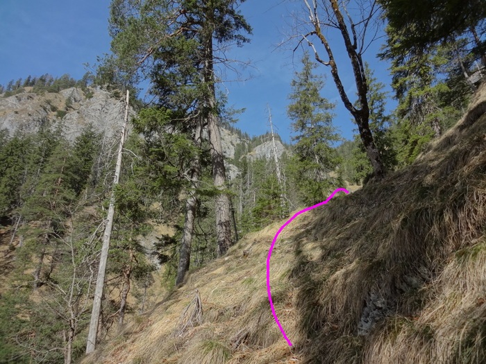 Speibenkäs 08902.JPG