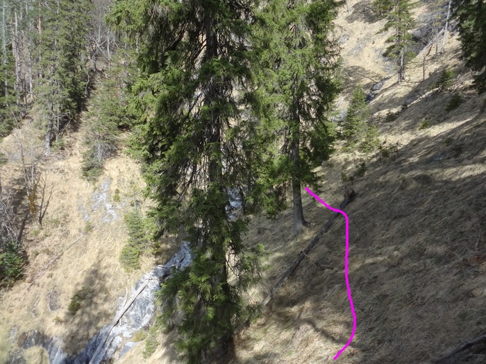 Speibenkäs 08913.JPG