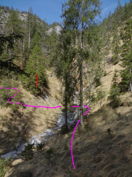Speibenkäs 08925.JPG