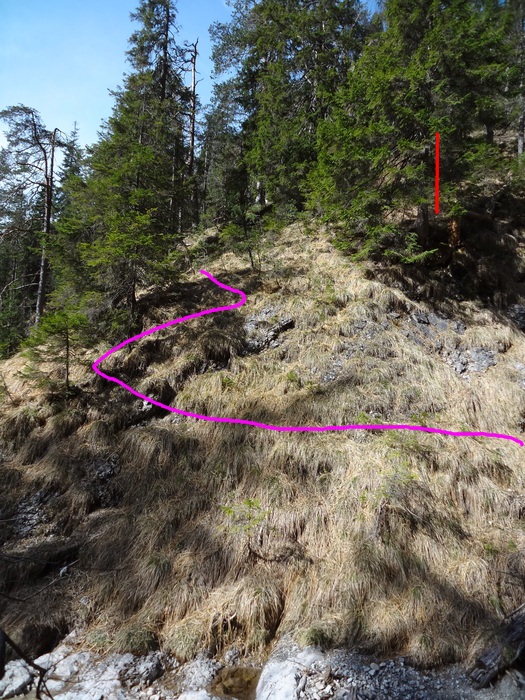 Speibenkäs 08932.JPG