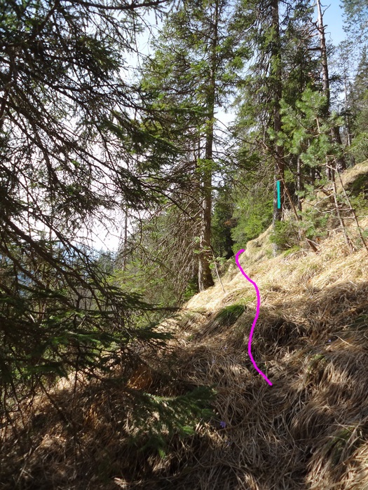 Speibenkäs 08953.JPG