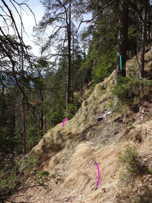 Speibenkäs 08959.JPG