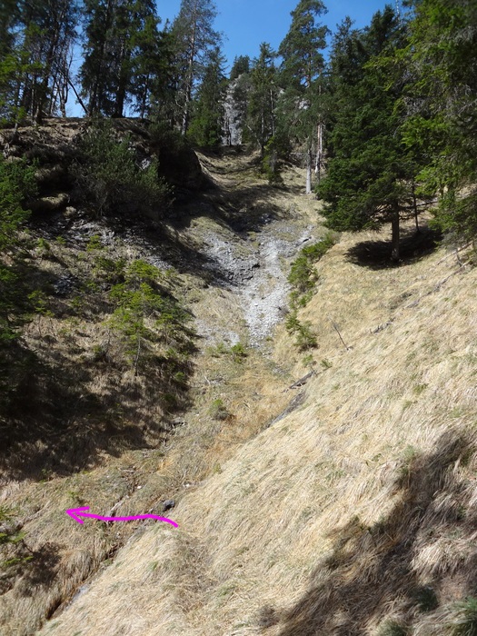 Speibenkäs 08966.JPG