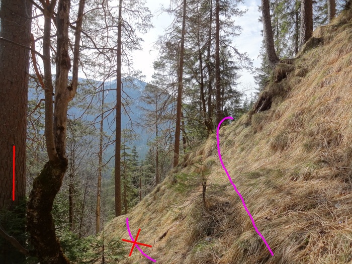 Speibenkäs 08977.JPG