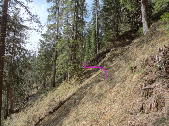 Speibenkäs 08979.JPG