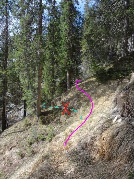 Speibenkäs 08982.JPG