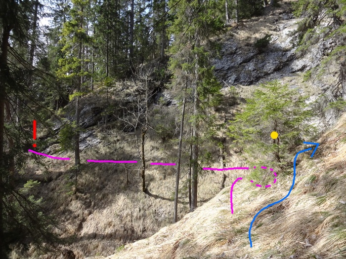 Speibenkäs 08996.JPG