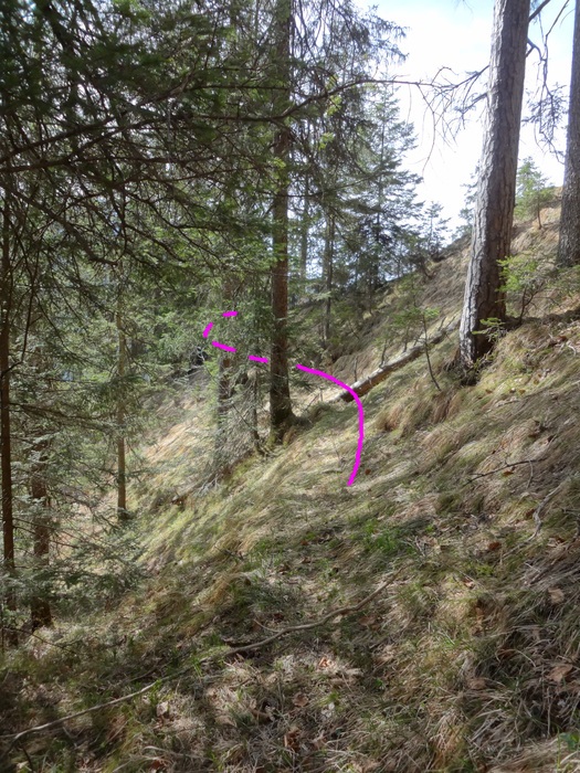Speibenkäs 09022.JPG