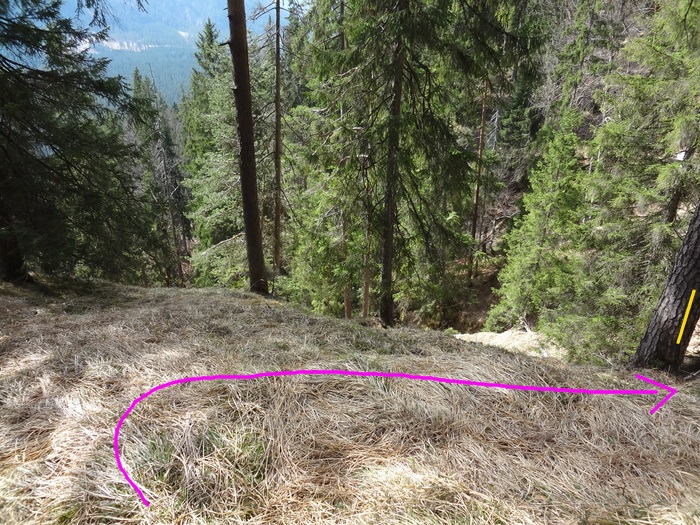 Speibenkäs 09027.JPG