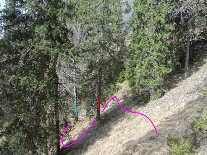 Speibenkäs 09034.JPG