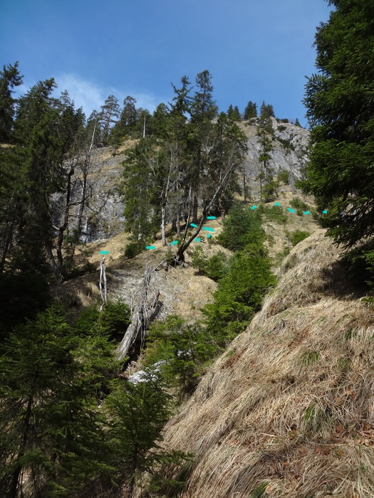 Speibenkäs 09037.JPG