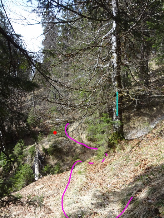 Speibenkäs 09039.JPG