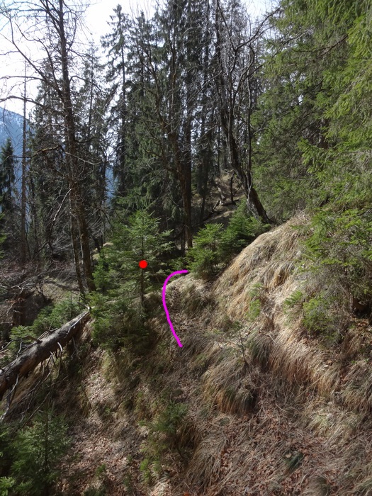 Speibenkäs 09045.JPG