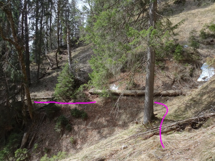 Speibenkäs 09047.JPG