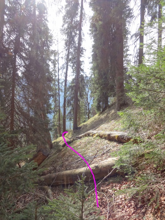 Speibenkäs 09056.JPG