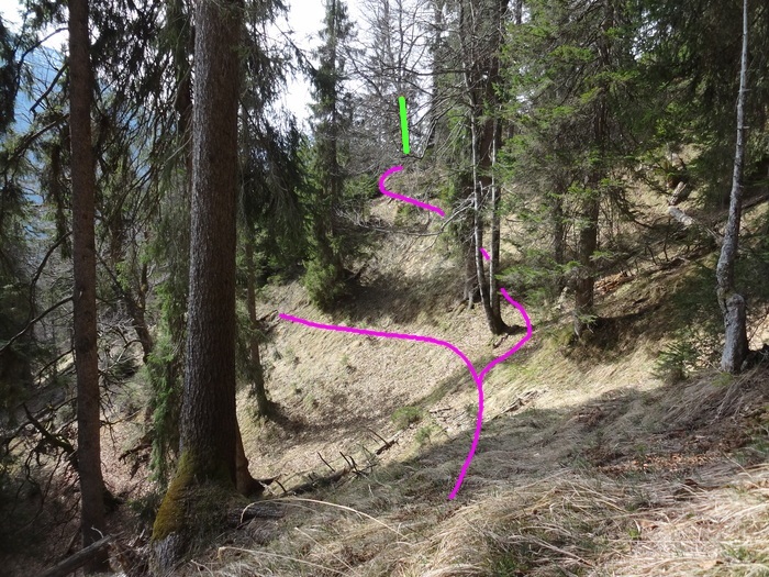 Speibenkäs 09066.JPG