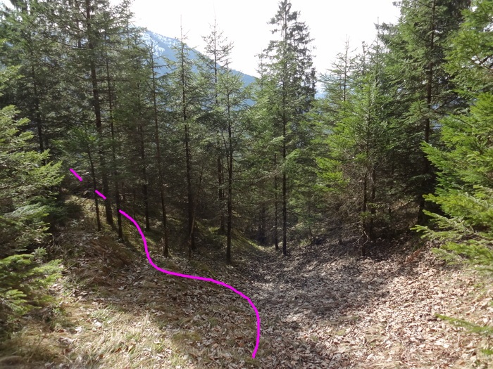 Speibenkäs 09091.JPG