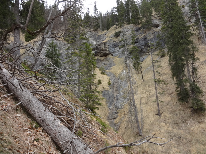 Speibenkäs 09641.JPG