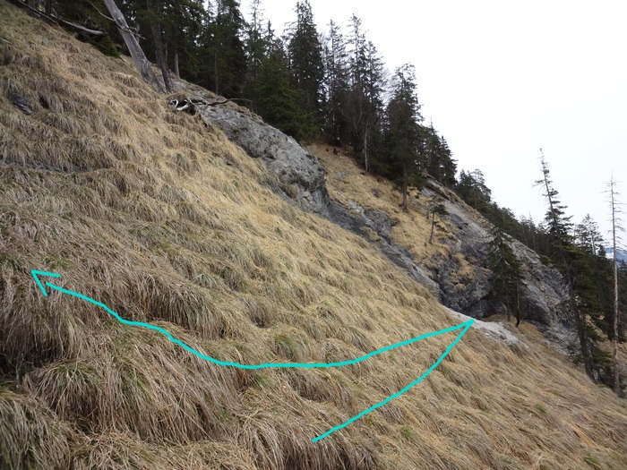 Speibenkäs 09712.JPG