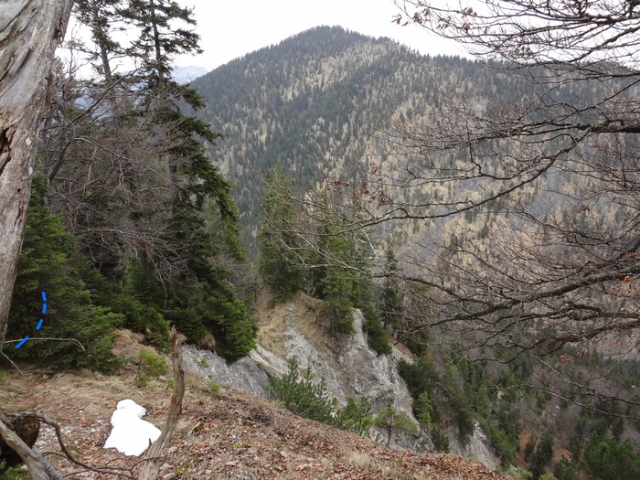 Speibenkäs 09804.JPG