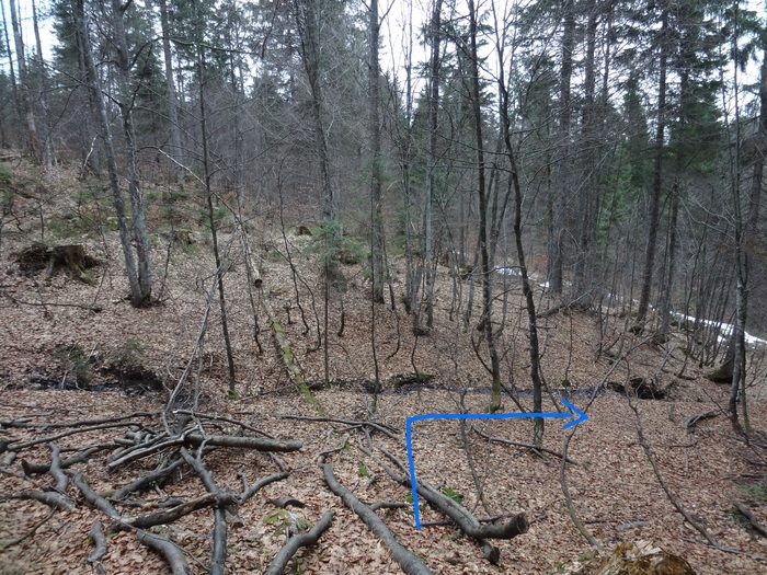 Speibenkäs 09907.JPG