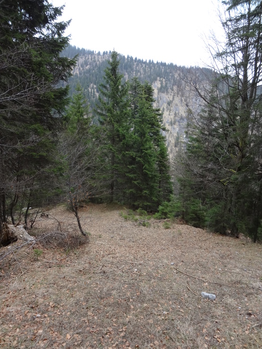 Speibenkäs 09914.JPG