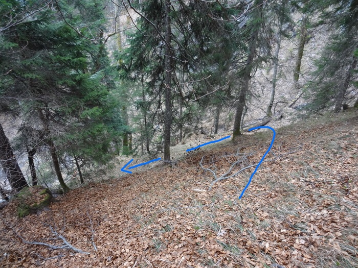 Speibenkäs 09952.JPG