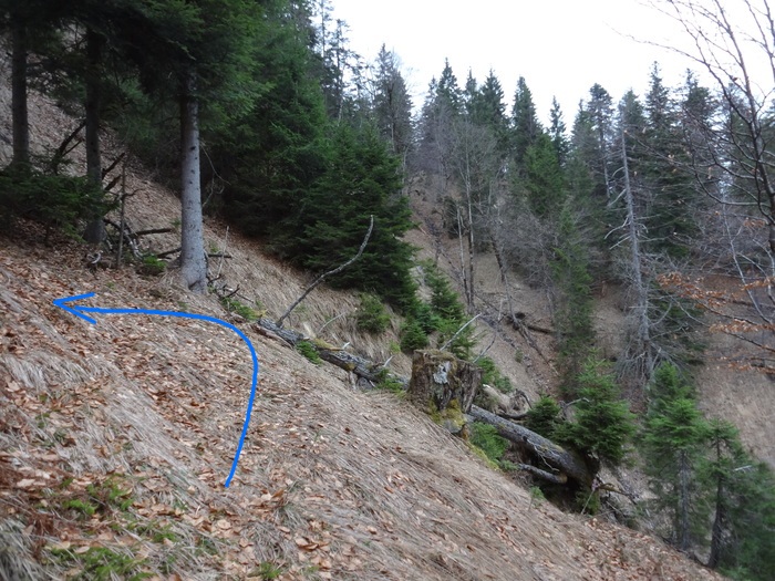 Speibenkäs 09993.JPG