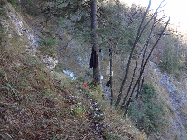 Speibenkäs 10259.JPG