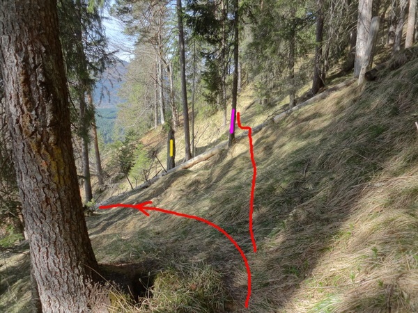 speibenkaes_ost_west02.JPG